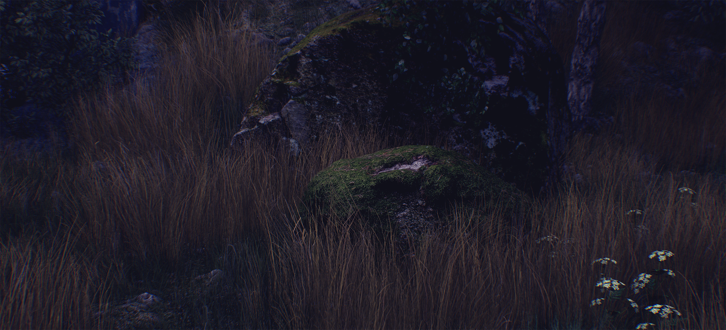 We found and scanned an old bunker.